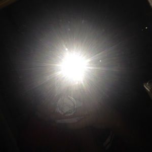 Meet your Posher, Abigail